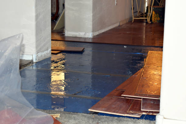 Professional Basement Water Removal technician working in Westerville, OH